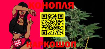 гашик Донской