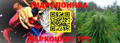 гашик Донской