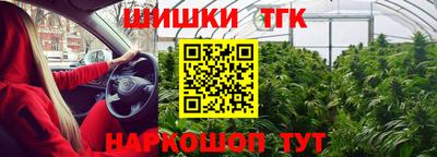 гашик Донской