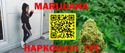 гашик Донской