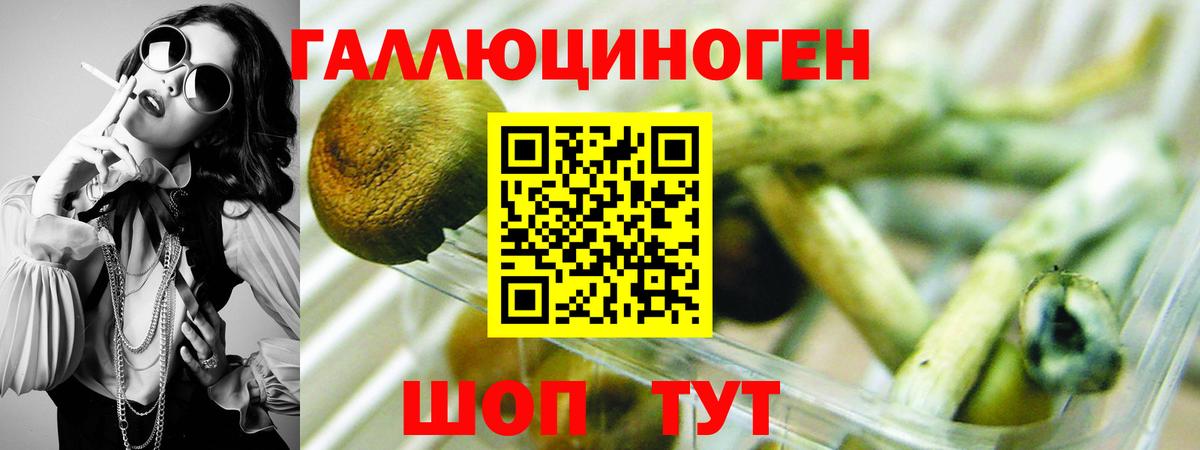 Галлюциногенные грибы Psilocybe  Вход с VPN  дарнет шоп  Можга 